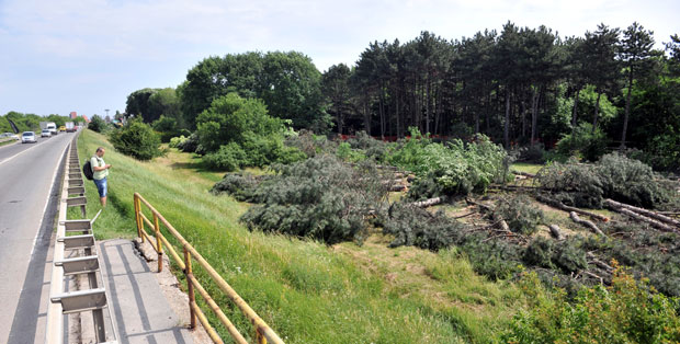 Петловим брдом владаће грађани